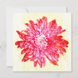 Lebendige rosa Chrysantheme Blume Einladung