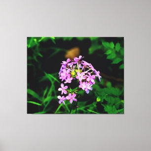 Lebendige rosa Wildblume Leinwanddruck