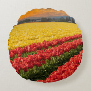 Lebendige Rot- und Goldtulpen im Skagit-Landkreis  Rundes Kissen