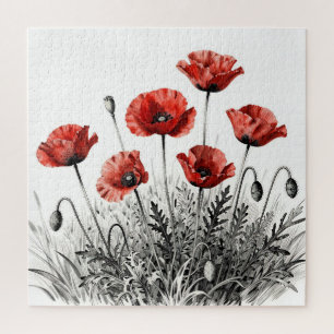 Lebendige Rote Mohnblumenwiese