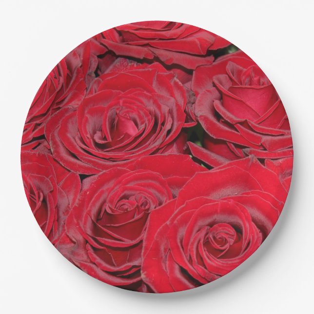 Lebendige rote Rosen Pappteller (Vorderseite)