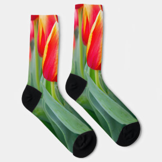 Lebendige rote und gelbe Tulpen im Frühlingsgarten Socken