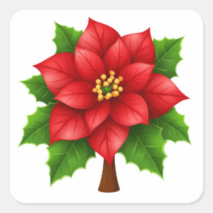 Lebendige rote Weihnachtssternblume mit grünen Blä Quadratischer Aufkleber