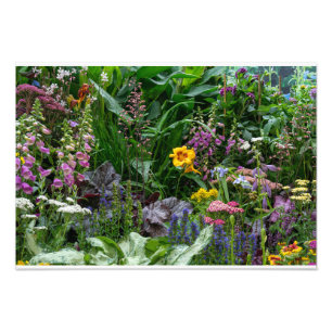Lebendige Sommergarten-Blumenmuster-Hintergrund Fotodruck