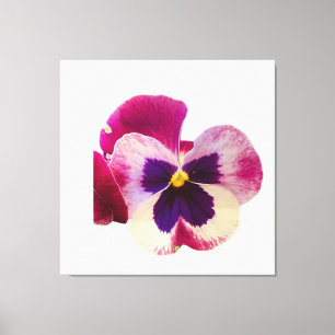 Lebendige Stiefmütterchen-Blumen-Foto-Leinwand in  Leinwanddruck