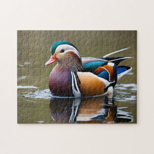 Lebendige Stockente