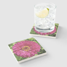 Lebendige Zinnienblumen-Foto