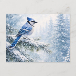 Lebendiger Blauhäher-Vogel im schneebedeckten Wint Postkarte