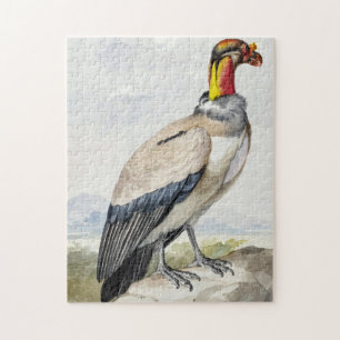Lebendiger exotischer Königsgeier-Wandschmuck