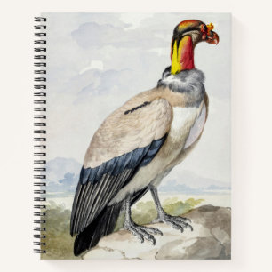 Lebendiger exotischer Königsgeier-Wandschmuck Notizbuch