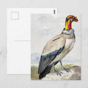 Lebendiger exotischer Königsgeier-Wandschmuck Postkarte