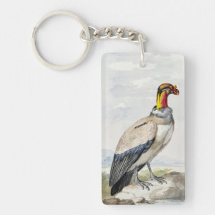 Lebendiger exotischer Königsgeier-Wandschmuck Schlüsselanhänger