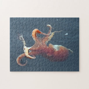 Lebendiger Oktopus Meeresleben Ozeanliebhaber Meer