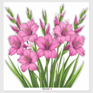 Lebendiger rosa Gladiolenstrauß mit grünem Laub Aufkleber
