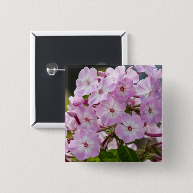 Lebendiger Rosa Phlox Botanisch Button (Vorne & Hinten)