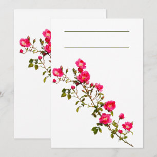 Lebendiger rosa Rosenast mit Blüten und Knospen  Einladung