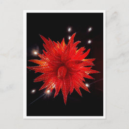 Lebendiger roter Glas-Sternenexplosion-Kronleuchte Postkarte