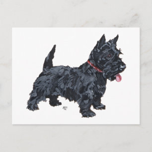 Lebendiger Scottie-Hund Postkarte
