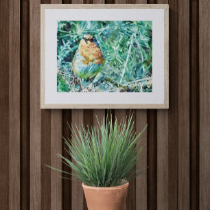 Lebendiger Wasserfarbener Rotkehlchen auf Dornen s Fotodruck