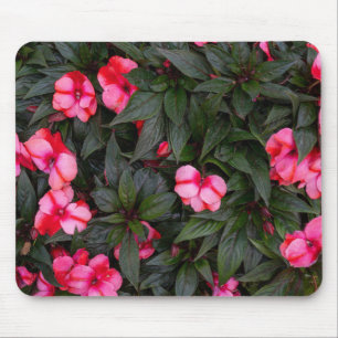 Lebendiges Rosa New Guinea Impatiens-Blumenmuster Mousepad