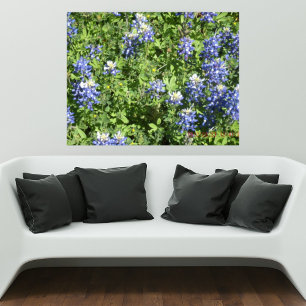 Lebendiges Texas Bluebonnet-Wandposter Poster