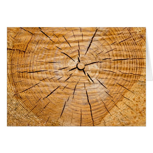 Lebensabschnitt (Vorderseite (Horizontal))