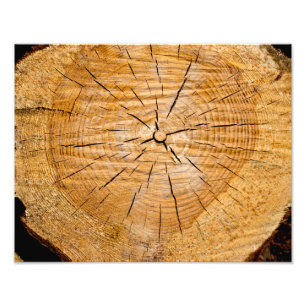 Lebensabschnitt Fotodruck