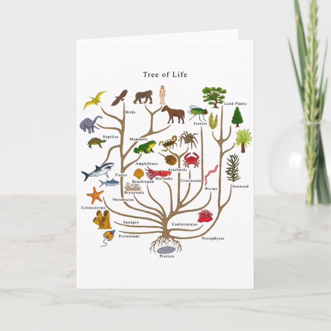 Lebensbaum Karte (Vorderseite)