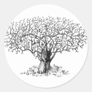Lebensbaum - Tiere Runder Aufkleber
