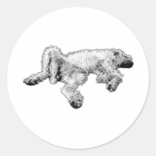 Lebensechter Spinone Fühlt Sich Gut Aufkleber