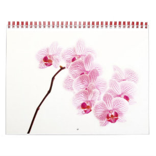Lebensfarbe Kalender