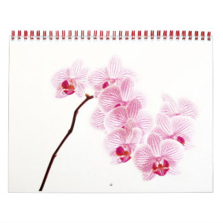 Lebensfarbe Kalender
