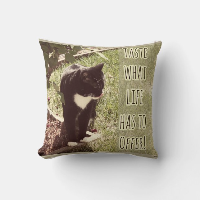 Lebensgeschmack motivierendes Cat Slogan Design Kissen (Vorderseite)