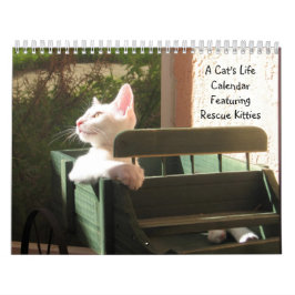 Lebenskalender einer Katze Kalender