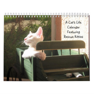 Lebenskalender einer Katze - mit lustigen Zitaten Kalender
