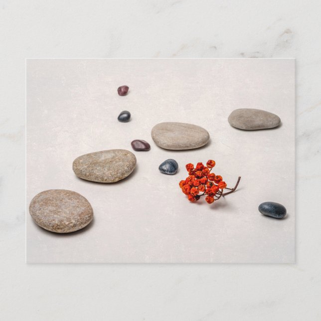 Lebenslinien Postkarte (Vorderseite)