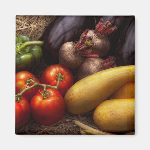 Lebensmittel - Paprika, Tomaten, Kürbis und Rüben Magnet