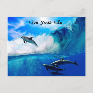 Lebensmotivation Postkarte