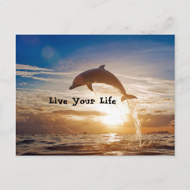 Lebensmotivation Postkarte (Vorderseite)