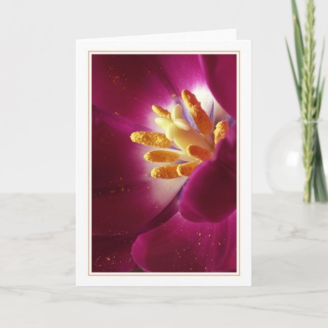 Lebensvorsprung Karte (Vorderseite)