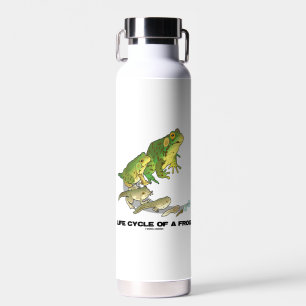 Lebenszyklus eines Frosches von Ei über Kaulquappe Trinkflasche