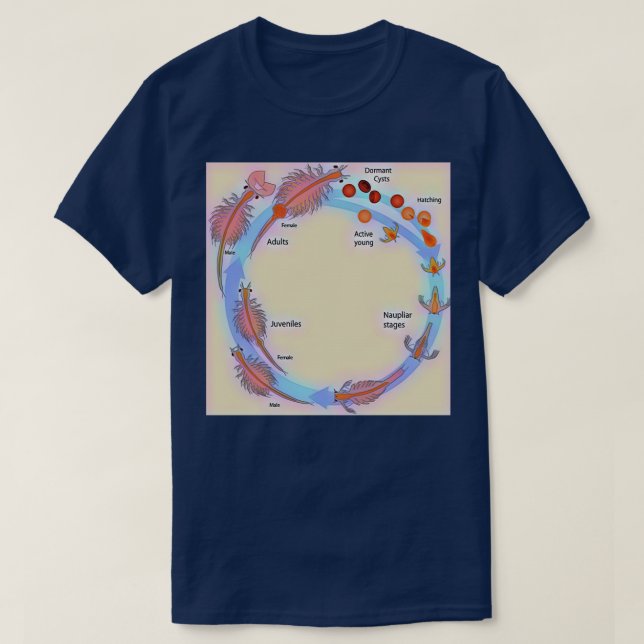 Lebenszyklus von Garnelen T-Shirt (Design vorne)