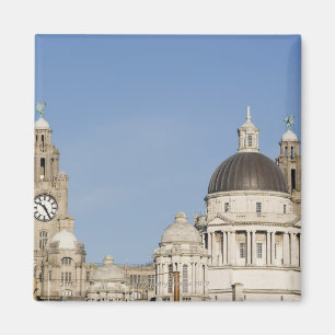 Leber-Gebäude, Liverpool, England Magnet