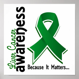 Leber-Krebs-Bewusstsein 5 Poster