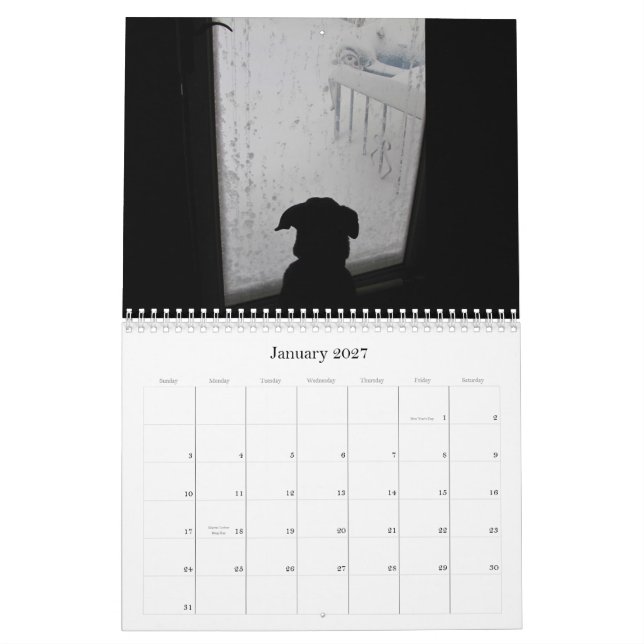 Lebewesen ~ Kalender 2012 (Jan 2027)