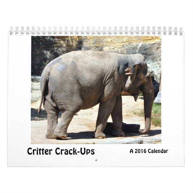 Lebewesen Sprung-UPS, ein humorvoller Tierkalender Kalender (Titelbild)