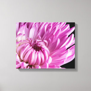 Lebhaft in Pink Dahlia Leinwanddruck