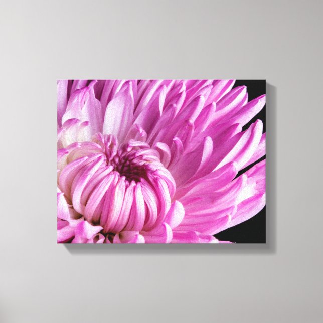 Lebhaft in Pink Dahlia Leinwanddruck (Vorderseite)