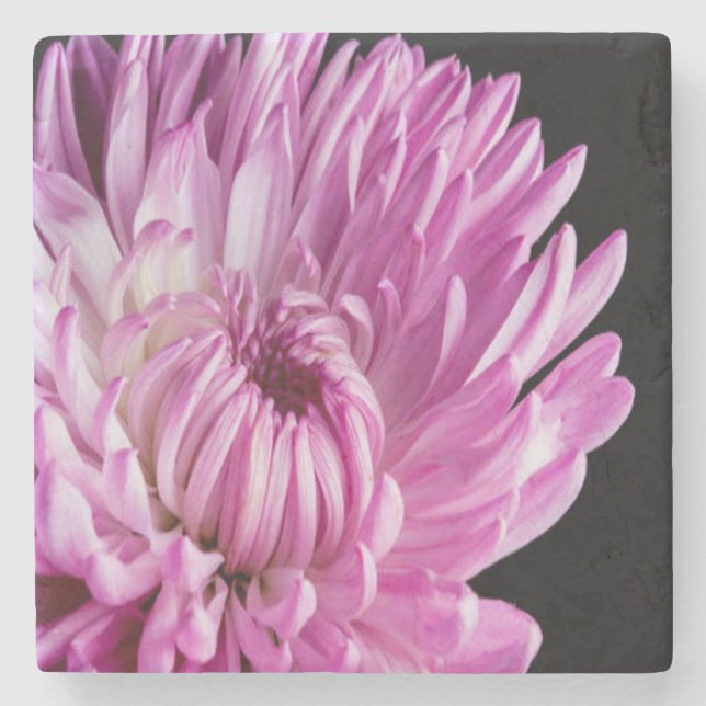 Lebhaft in Pink Dahlia Steinuntersetzer (Vorderseite)