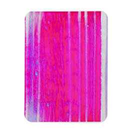 Lebhafte Abstrakte Rosa und Lila Streifen Kunst, D Magnet